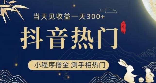 抖音最新小程序撸金，测手相上热门，当天见收益一小时变现300+【揭秘】-优才资源站