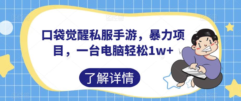 口袋觉醒私服手游，暴力项目，一台电脑轻松1w+【揭秘】-优才资源站