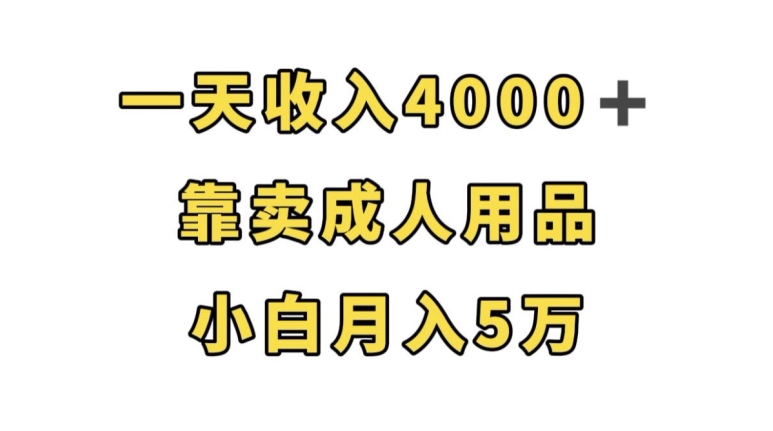 一天收入4000+，靠卖成人用品，小白轻松月入5万【揭秘】-优才资源站