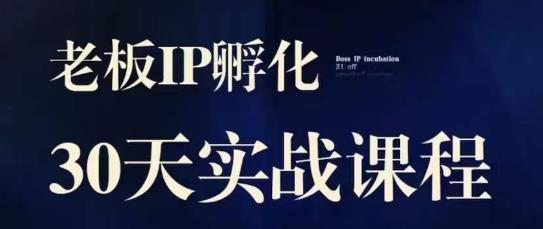 诸葛·2023老板IP实战课，实体同城引流获客，IP孵化必听-优才资源站