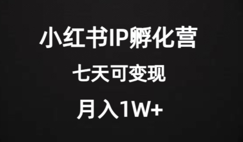 价值2000+的小红书IP孵化营项目，超级大蓝海，七天即可开始变现，稳定月入1W+-优才资源站