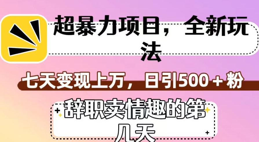 超暴利项目，全新玩法（辞职卖情趣的第几天），七天变现上万，日引500+粉【揭秘】-优才资源站