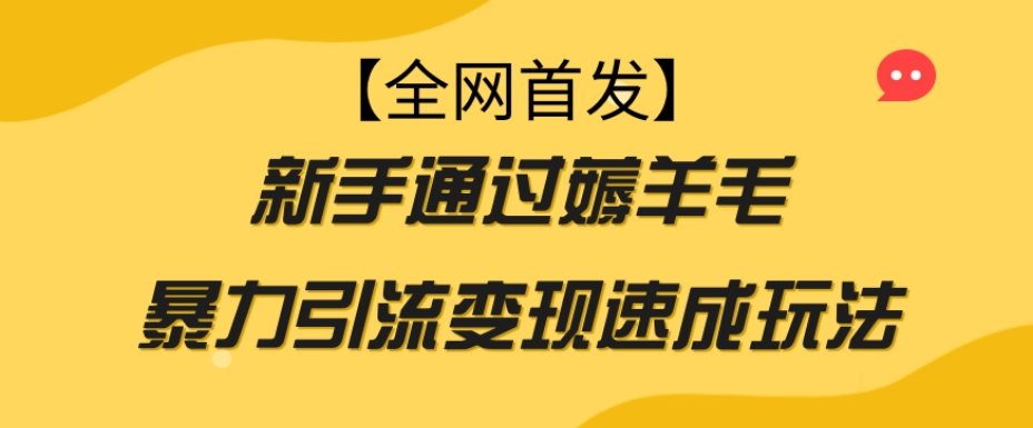 【全网首发】新手通过薅羊毛暴力引流变现速成玩法-优才资源站