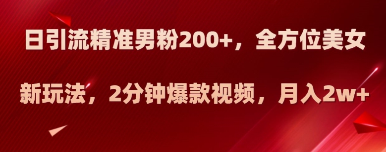 日引流精准男粉200+，全方位美女新玩法，2分钟爆款视频，月入2w+【揭秘】-优才资源站