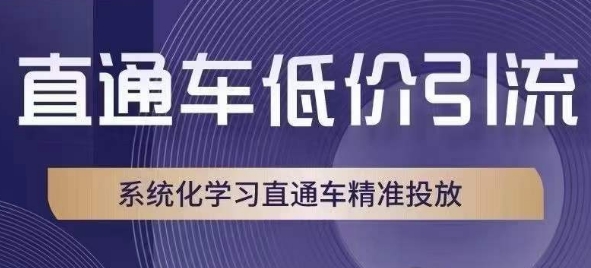 直通车低价引流课，系统化学习直通车精准投放-优才资源站