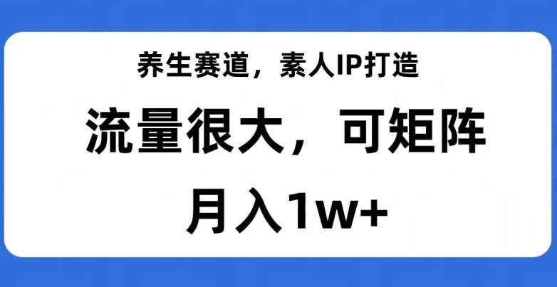 养生赛道，素人IP打造，流量很大，可矩阵，月入1w+【揭秘】-优才资源站