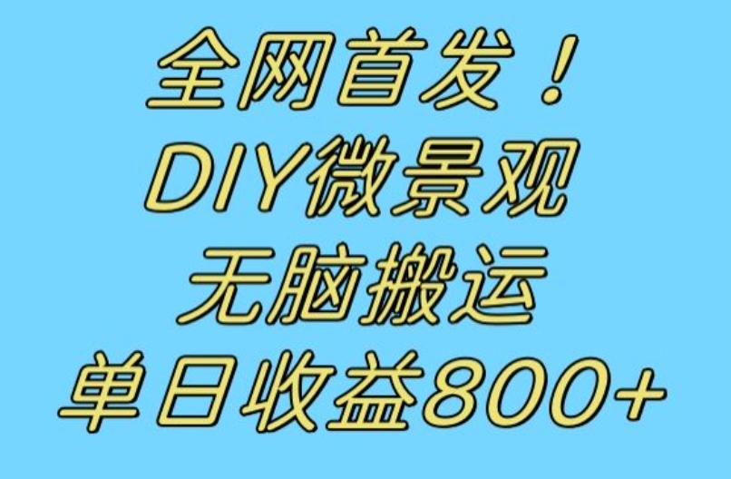 全网首发冷门赛道！DIY微景观，无脑搬运视频，日收益800+【揭秘】-优才资源站