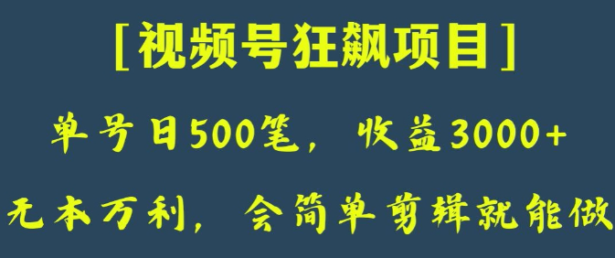 日收款500笔，纯利润3000+，视频号狂飙项目，会简单剪辑就能做【揭秘】-优才资源站