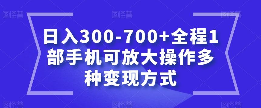 日入300-700+全程1部手机可放大操作多种变现方式【揭秘】-优才资源站