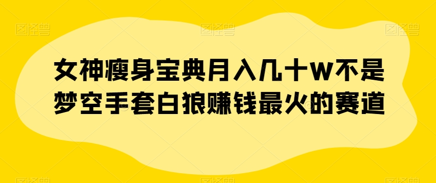 女神瘦身宝典月入几十W不是梦空手套白狼赚钱最火的赛道【揭秘】-优才资源站