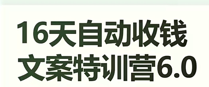 16天自动收钱文案特训营6.0，学会儿每天自动咔咔收钱-优才资源站