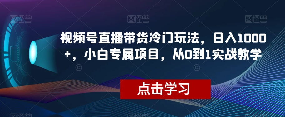 视频号直播带货冷门玩法，日入1000+，小白专属项目，从0到1实战教学【揭秘】-优才资源站