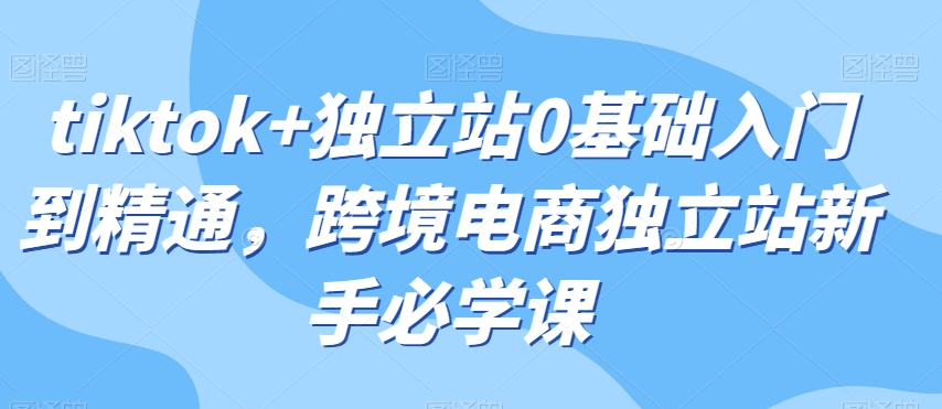 tiktok+独立站0基础入门到精通，跨境电商独立站新手必学课-优才资源站