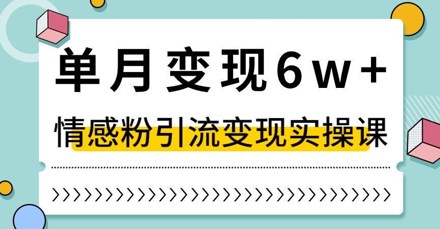 单月变现6W+，抖音情感粉引流变现实操课，小白可做，轻松上手，独家赛道【揭秘】-优才资源站