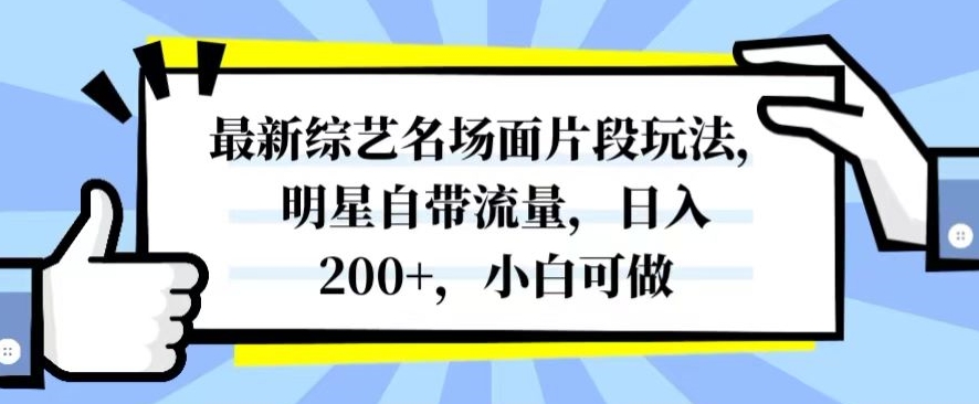 最新综艺名场面片段玩法，明星自带流量，日入200+，小白可做【揭秘】-优才资源站