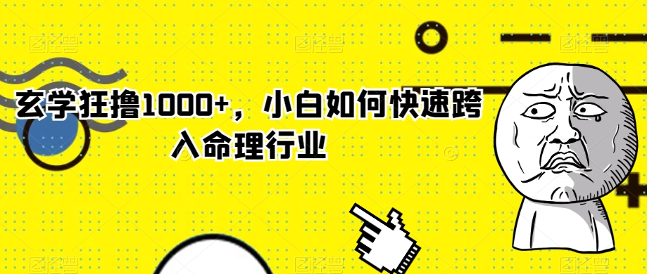 玄学狂撸1000+，小白如何快速跨入命理行业【揭秘】-优才资源站