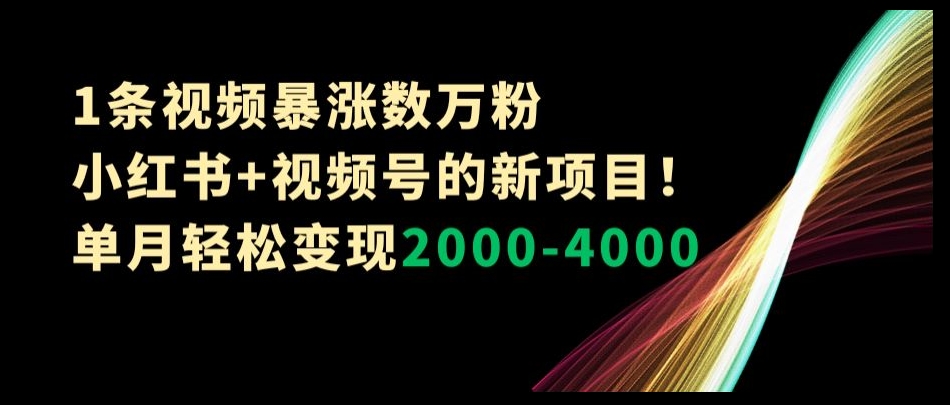 1条视频暴涨数万粉–小红书+视频号的新项目！单月轻松变现2000-4000【揭秘】-优才资源站