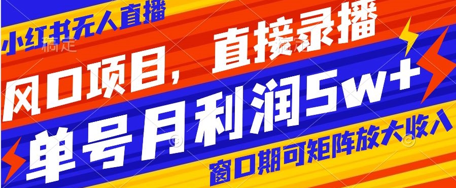 风口项目，小红书无人直播带货，直接录播，可矩阵，月入5w+【揭秘】-优才资源站