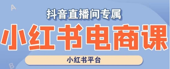 小红书电商高级运营课程，实操教学+案例分析-优才资源站