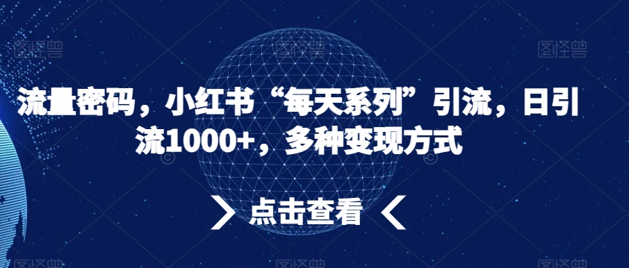 流量密码，小红书“每天系列”引流，日引流1000+，多种变现方式【揭秘】-优才资源站