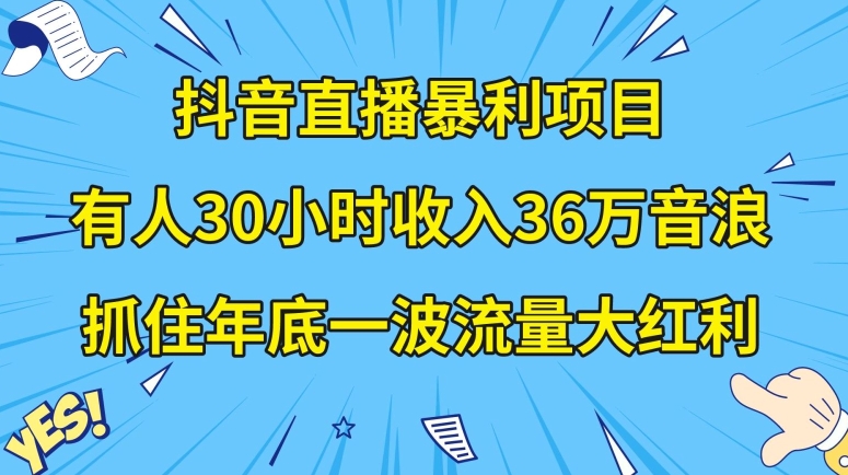 抖音直播暴利项目，有人30小时收入36万音浪，公司宣传片年会视频制作，抓住年底一波流量大红利【揭秘】-优才资源站