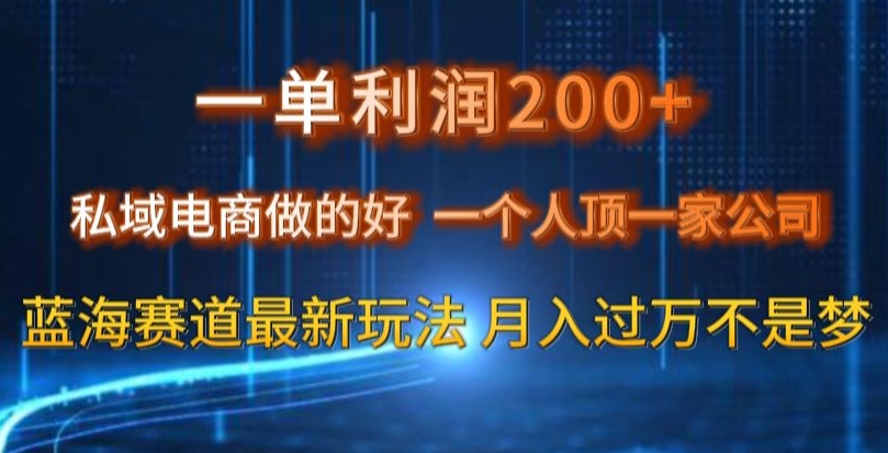 一单利润200私域电商做的好，一个人顶一家公司蓝海赛道最新玩法【揭秘】-优才资源站