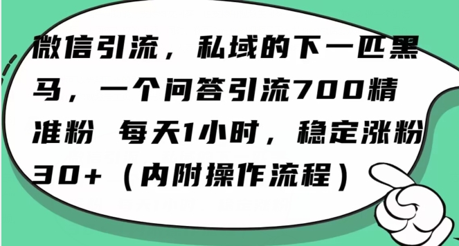 怎么搞精准创业粉？微信新赛道，每天一小时，利用Ai一个问答日引100精准粉-优才资源站