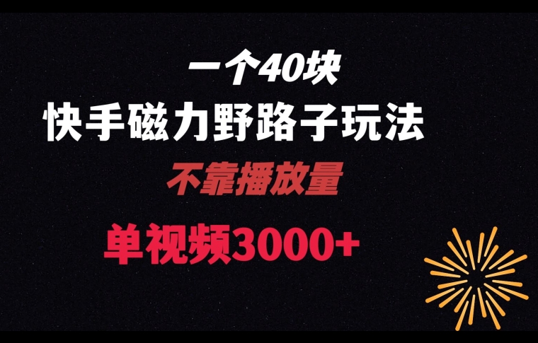 一个40块，快手联合美团磁力新玩法，无视机制野路子玩法，单视频收益4位数【揭秘】-优才资源站