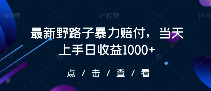 最新野路子暴力赔付，当天上手日收益1000+【仅揭秘】-优才资源站