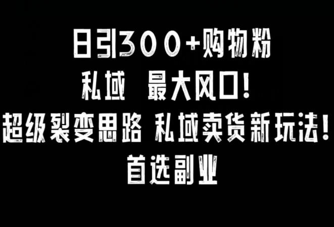 日引300+购物粉，超级裂变思路，私域卖货新玩法，小红书首选副业【揭秘】-优才资源站