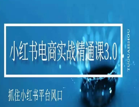 小红书电商实战精通课3.0，抓住小红书平台的风口，不错过有一个赚钱的机会-优才资源站