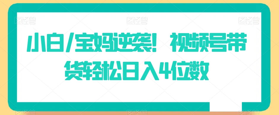 小白/宝妈逆袭！视频号带货轻松日入4位数【揭秘】-优才资源站