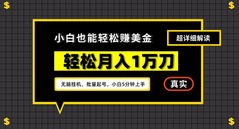 谷歌看广告撸美金2.0，无脑挂机，多号操作，月入1万刀【揭秘】-优才资源站