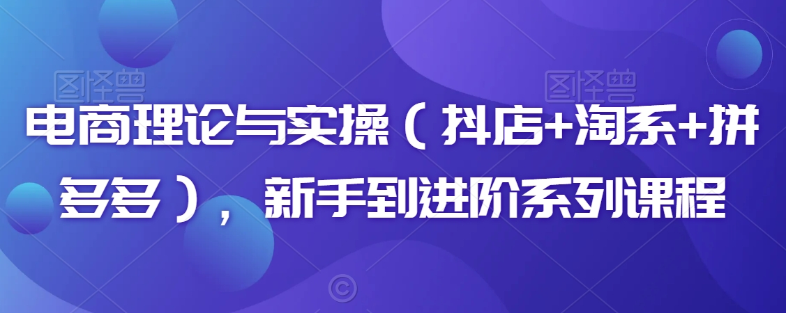 电商理论与实操（抖店+淘系+拼多多），新手到进阶系列课程-优才资源站