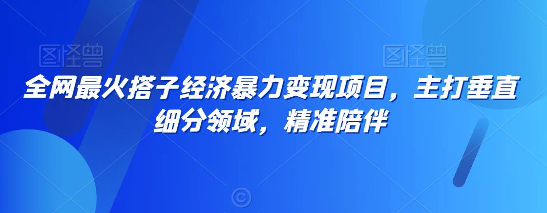 全网最火搭子经济暴力变现项目，主打垂直细分领域，精准陪伴【揭秘】-优才资源站