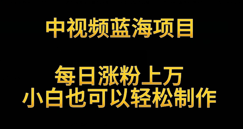 中视频蓝海项目，解读英雄人物生平，每日涨粉上万，小白也可以轻松制作，月入过万不是梦【揭秘】-优才资源站