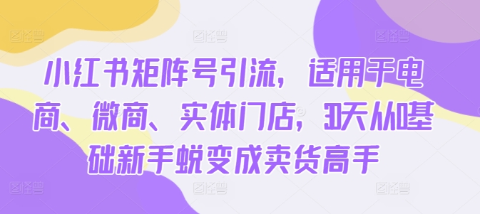 小红书矩阵号引流，适用于电商、微商、实体门店，30天从0基础新手蜕变成卖货高手-优才资源站