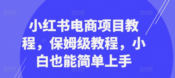 小红书电商项目教程，保姆级教程，小白也能简单上手-优才资源站