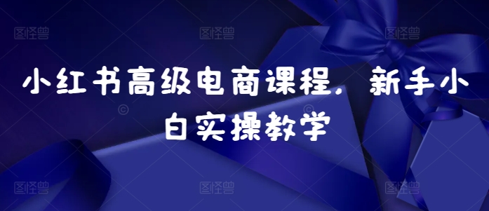 小红书高级电商课程，新手小白实操教学-优才资源站