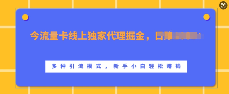 流量卡线上独家代理掘金，日入1k+ ，多种引流模式，新手小白轻松上手【揭秘】-优才资源站