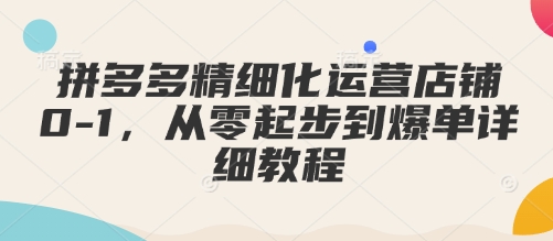 拼多多精细化运营店铺0-1，从零起步到爆单详细教程-优才资源站