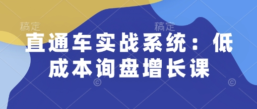 直通车实战系统：低成本询盘增长课，让个人通过技能实现升职加薪，让企业低成本获客，订单源源不断-优才资源站