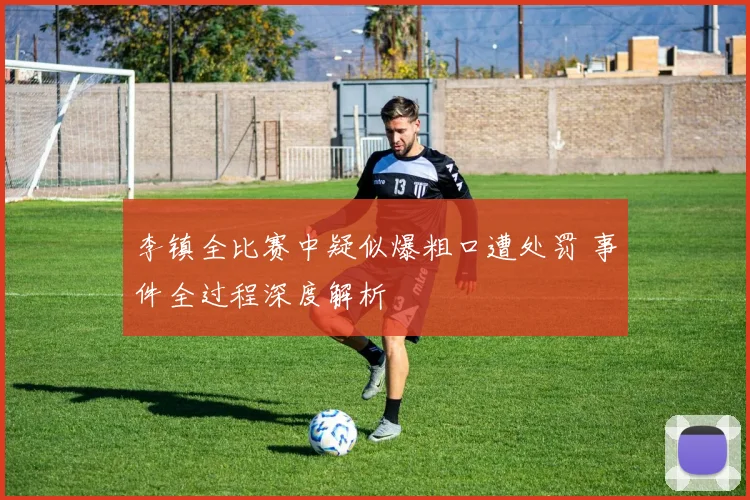 李镇全比赛中疑似爆粗口遭处罚 事件全过程深度解析