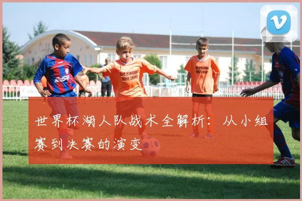 世界杯湖人队战术全解析：从小组赛到决赛的演变
